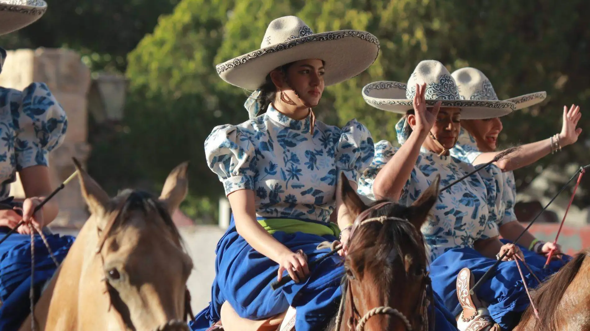 Feria escaramuscas